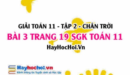 Bài 3 trang 19 Toán 11 tập 2 Chân trời sáng tạo